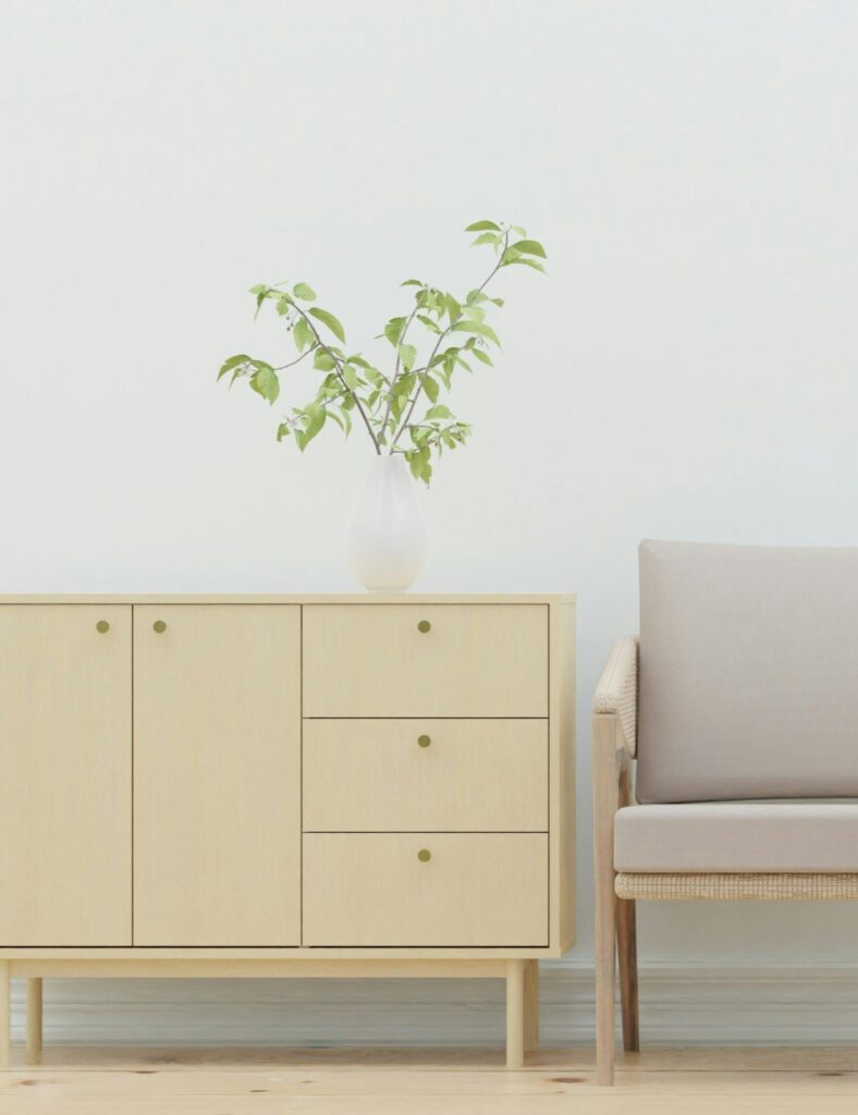Hide the Clutter with Minimalist Storage